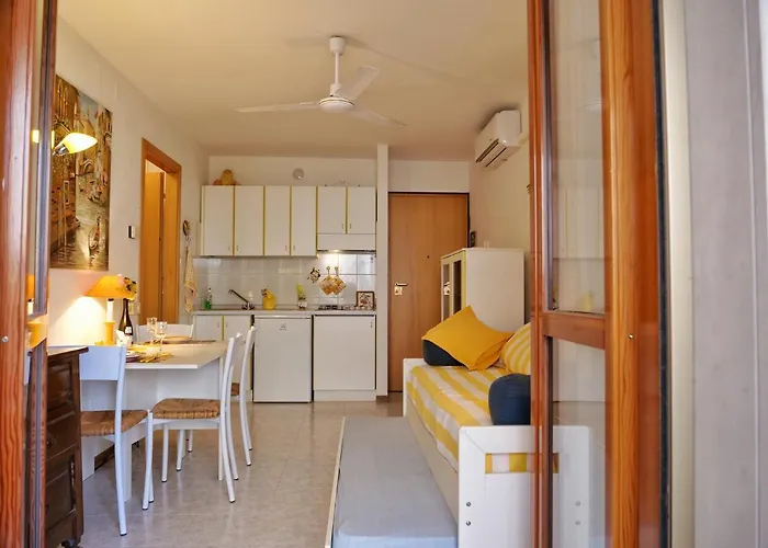 Cardellino, Piccolo E Accogliente Dietro La