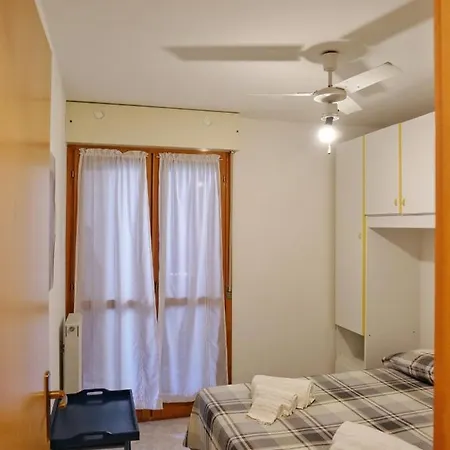 Cardellino, Piccolo E Accogliente Dietro La *